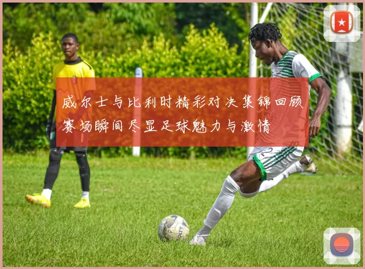 威尔士与比利时精彩对决集锦回顾赛场瞬间尽显足球魅力与激情