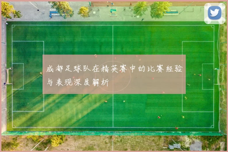 成都足球队在精英赛中的比赛经验与表现深度解析