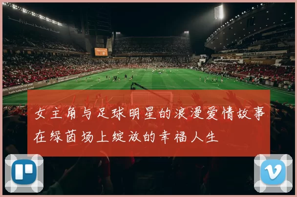 女主角与足球明星的浪漫爱情故事在绿茵场上绽放的幸福人生