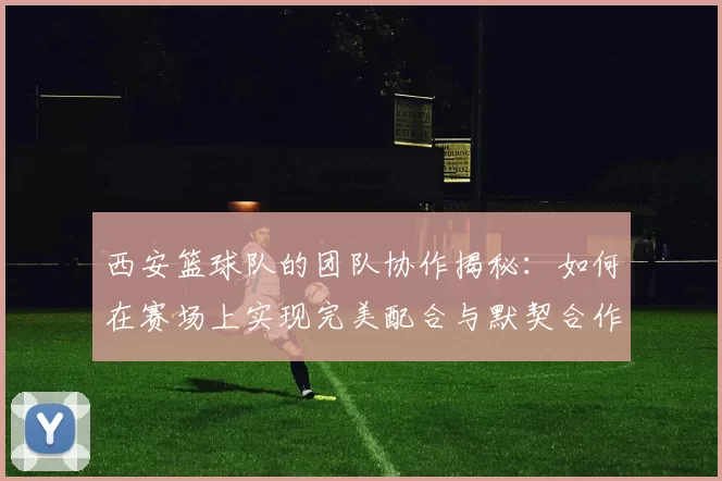 西安篮球队的团队协作揭秘：如何在赛场上实现完美配合与默契合作