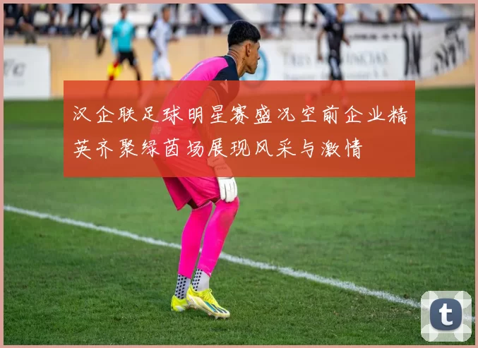汉企联足球明星赛盛况空前企业精英齐聚绿茵场展现风采与激情