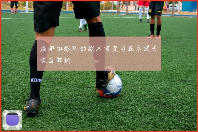 成都排球队的战术演变与技术提升深度解析