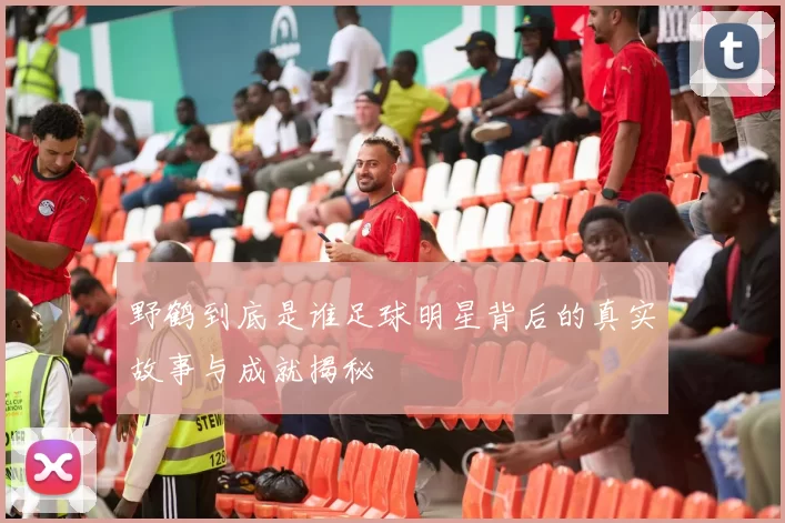 野鹤到底是谁足球明星背后的真实故事与成就揭秘