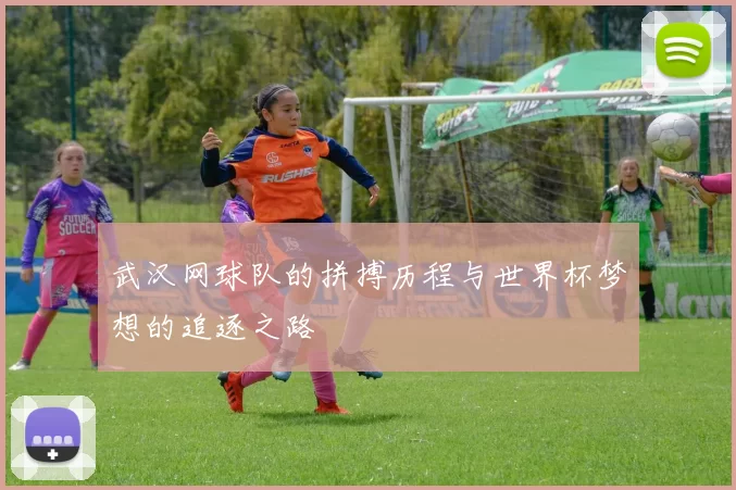 武汉网球队的拼搏历程与世界杯梦想的追逐之路