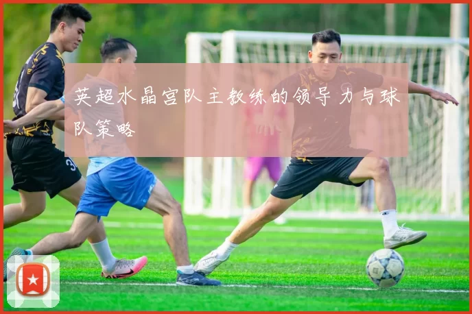 英超水晶宫队主教练的领导力与球队策略