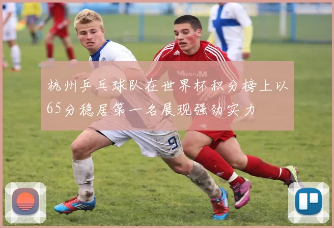 杭州乒乓球队在世界杯积分榜上以65分稳居第一名展现强劲实力