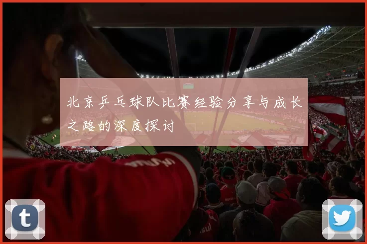 北京乒乓球队比赛经验分享与成长之路的深度探讨