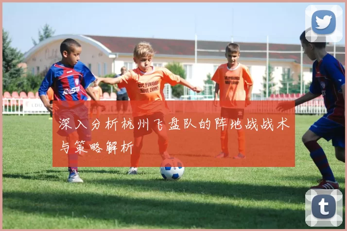 深入分析杭州飞盘队的阵地战战术与策略解析