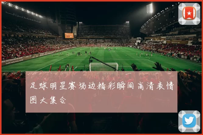 足球明星赛场边精彩瞬间高清表情图大集合
