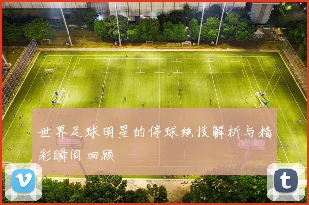 世界足球明星的停球绝技解析与精彩瞬间回顾
