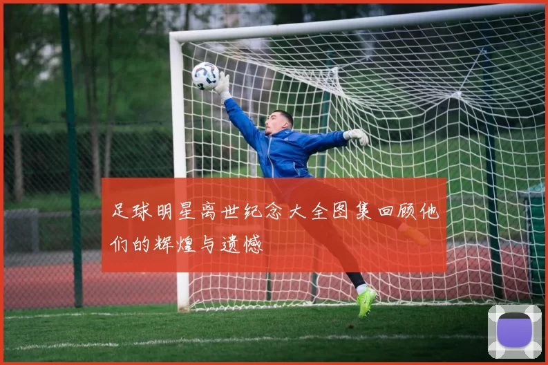 足球明星离世纪念大全图集回顾他们的辉煌与遗憾