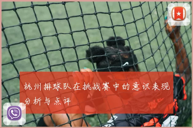 杭州排球队在挑战赛中的意识表现分析与点评