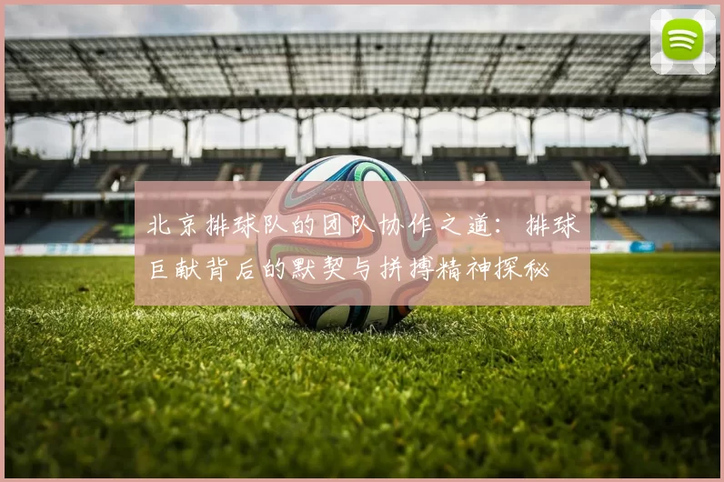 北京排球队的团队协作之道：排球巨献背后的默契与拼搏精神探秘