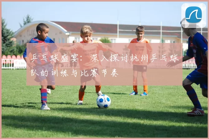 乒乓球盛宴：深入探讨杭州乒乓球队的训练与比赛节奏