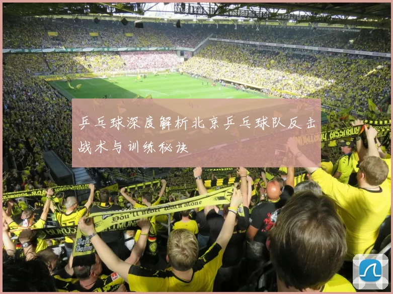 乒乓球深度解析北京乒乓球队反击战术与训练秘诀