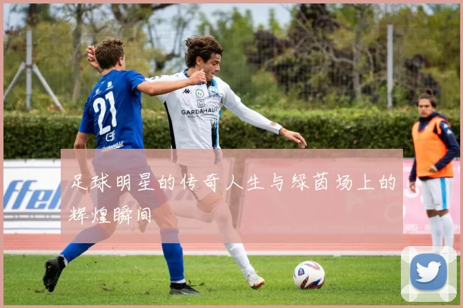 足球明星的传奇人生与绿茵场上的辉煌瞬间