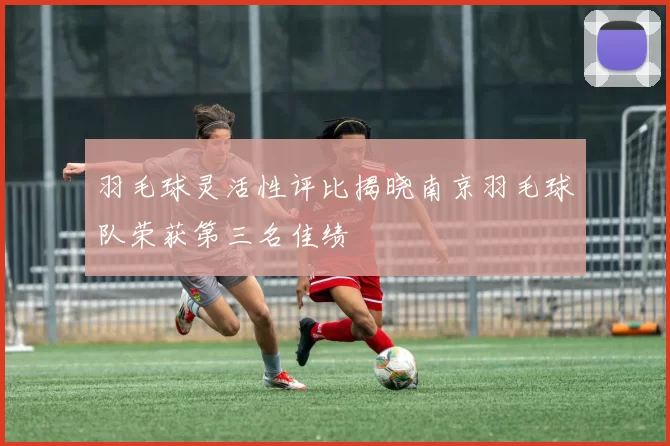 羽毛球灵活性评比揭晓南京羽毛球队荣获第三名佳绩