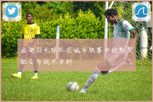 成都羽毛球队在城市联赛中的默契配合与战术分析