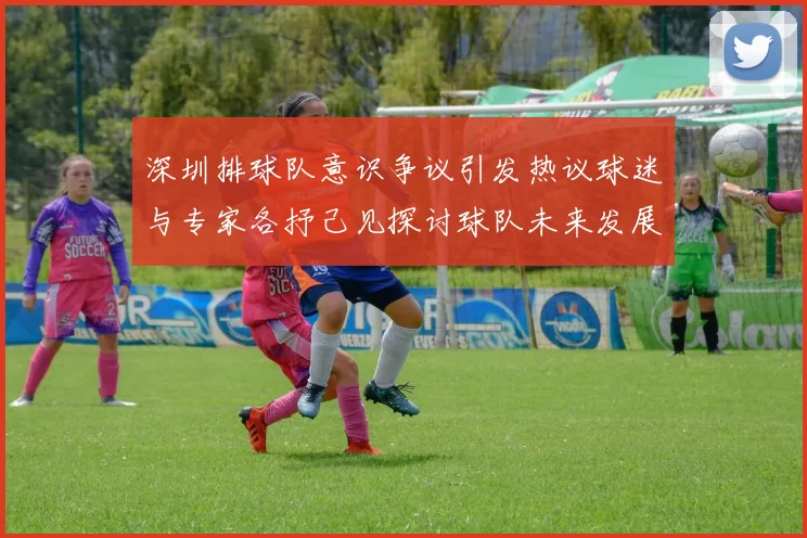 深圳排球队意识争议引发热议球迷与专家各抒己见探讨球队未来发展