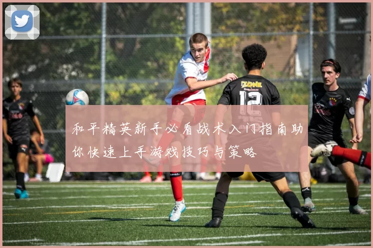 和平精英新手必看战术入门指南助你快速上手游戏技巧与策略