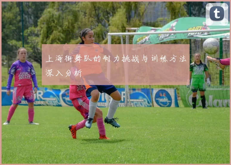 上海街舞队的耐力挑战与训练方法深入分析