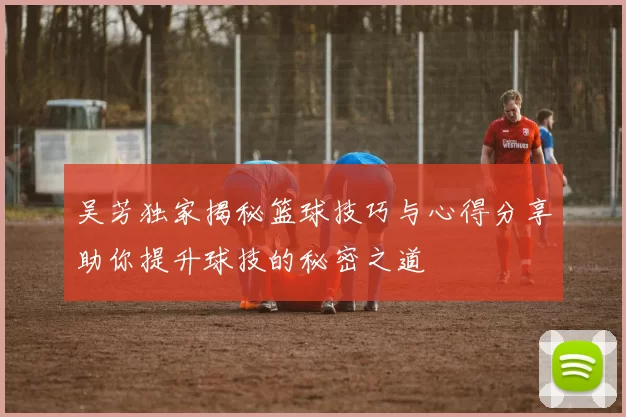 吴芳独家揭秘篮球技巧与心得分享助你提升球技的秘密之道