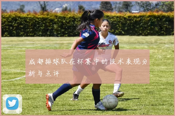 成都排球队在杯赛中的技术表现分析与点评
