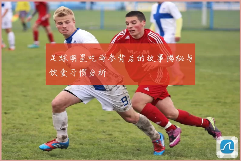 足球明星吃海参背后的故事揭秘与饮食习惯分析