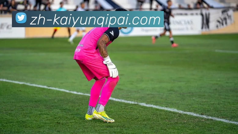 开云下载平台生态图